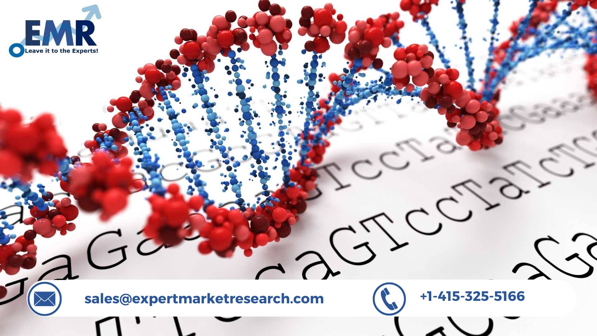 DNA Microarray Market Share