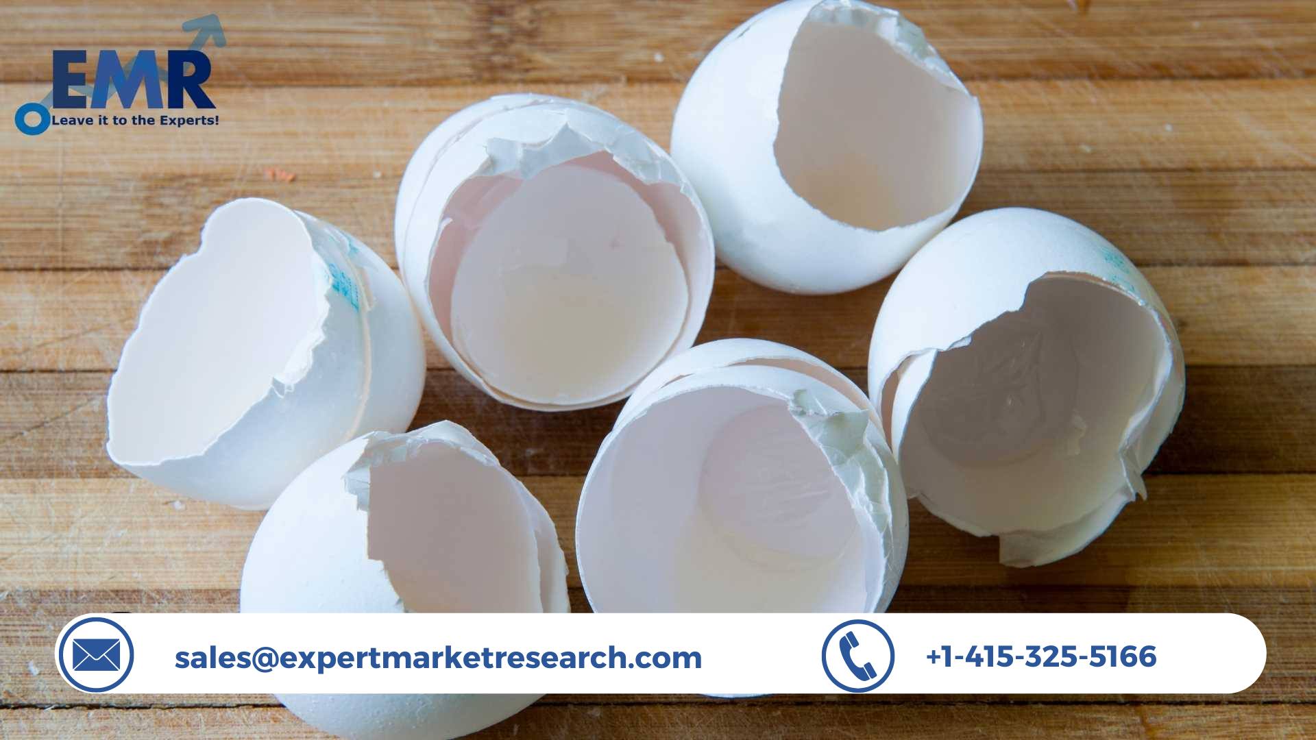 Eggshell Membrane Market Share
