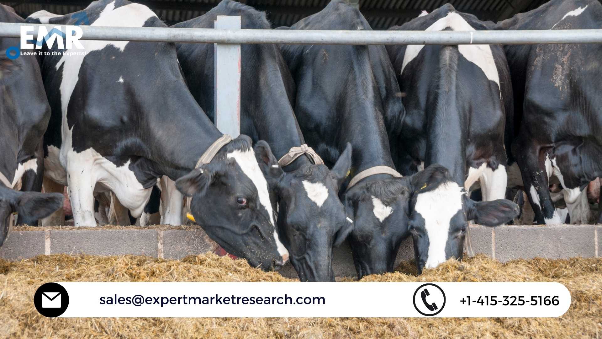 Cattle Feed Market Share