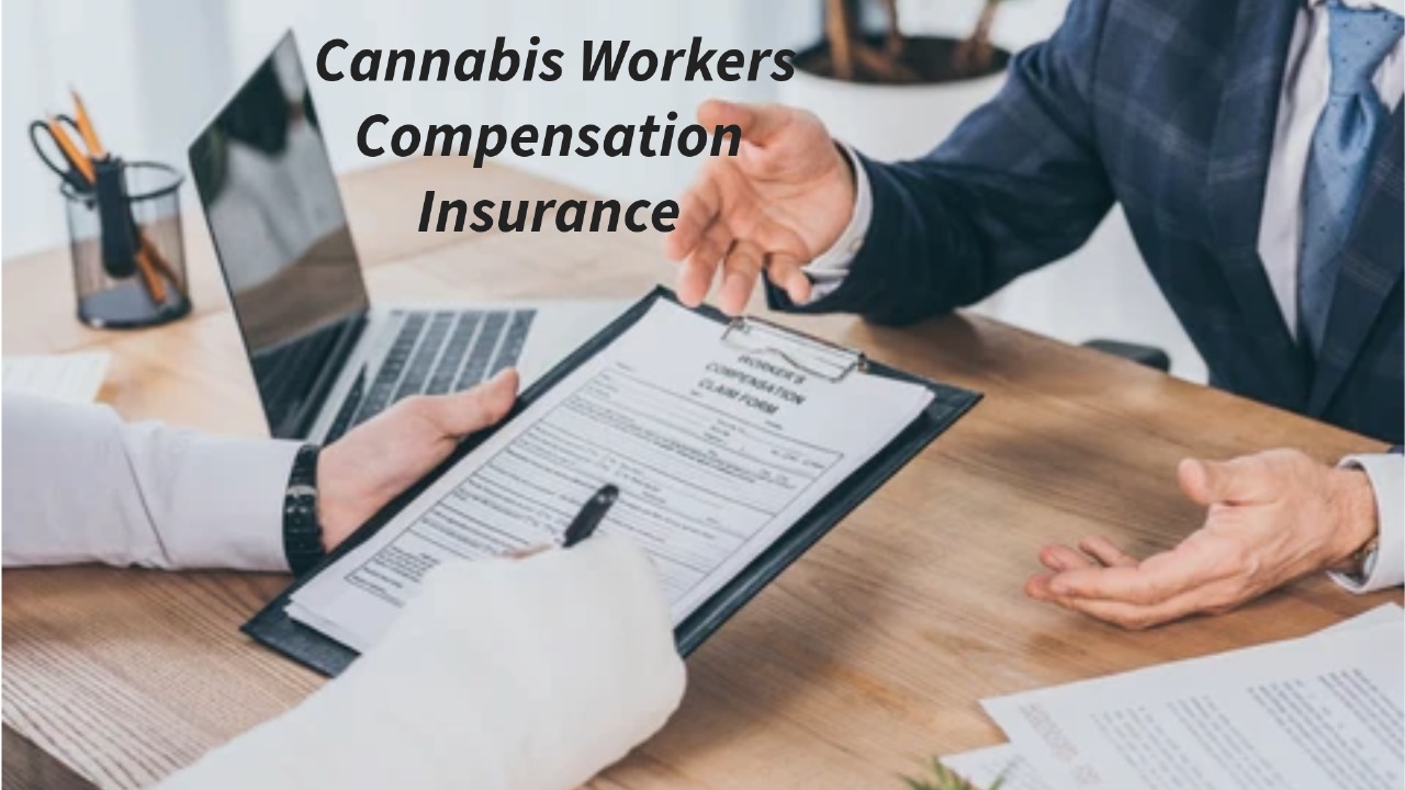 CANNABIS WORKERS COMPENSATION INSURANCE IN FLORIDA